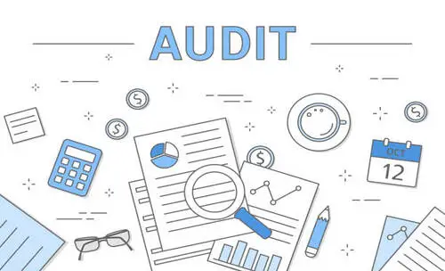 audit seo