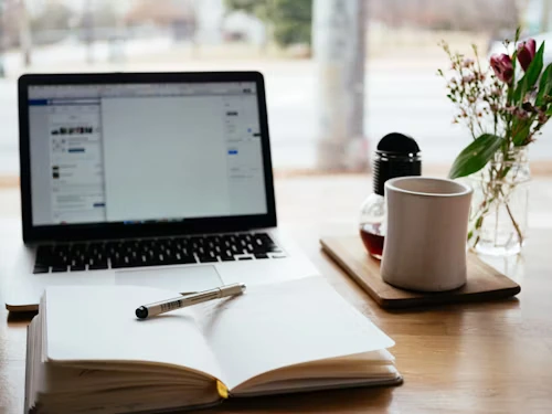 seo-audit-view
